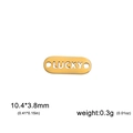 Golden stainless steel Lucky charm tag 10.4x3.8mm for DIY jewelry making accessories - LUCKY / Gold