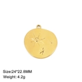 18K gold plated stainless steel irregular round star pendant charm 24x22.8mm - Irregular Round Star / Gold
