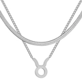 Detail of silver stainless steel herringbone chain with a Taurus zodiac sign pendant - Taurus