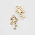Detailed close-up of golden frog alloy charms with textured back and hanging loops for DIY - Gold