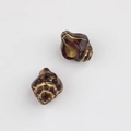 Detailed view of two amber-colored conch-shaped glass beads with gold gilded accents - Transparent Brown