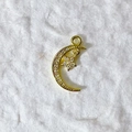 Vergoldeter Mond- und Sternanhänger mit mikroverzierten funkelnden Zirkonia-Steinen - Goldener Pave-Stern-Mond-Stil (12)