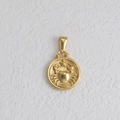 Vue détaillée du médaillon zodiaque Cancer plaqué or 18k avec relief d'étoile - Cancer - Or