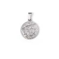 Polished silver stainless steel medallion with embossed lion head in hip-hop style - Round Lion Head Relief (TH22) / Steel