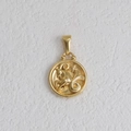Détail du pendentif Capricorne plaqué or 18k avec gaufrage de chèvre et étoile brillante - Capricorne - Or