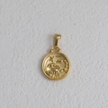 Dettaglio del ciondolo zodiaco Scorpione placcato oro con rilievo di scorpione e stella - Scorpione - Oro