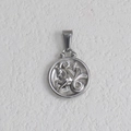Pendentif zodiaque rond en acier inoxydable argenté avec relief Capricorne et étoile - Capricorne - Acier