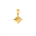 Octagonal North Star pendant in 24K gold plated stainless steel with a polished finish - Octagonal Star Style (TH13) / Gold