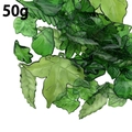 50g mix of dark green translucent acrylic leaf pendants for DIY jewelry making - 50g Weight / Dark Green Random Acrylic Leaves (SN1345)