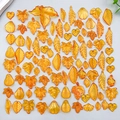 Mix of translucent amber acrylic leaf pendants for DIY necklace and bracelet jewelry - Orange Yellow Random Style (SN1346)