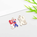 USA letter charm pendant with red white and blue enamel for DIY jewelry making - Letter Shape (16272)