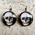 Vintage bronze skeleton leverback earrings with gothic skull motif under glass dome - Realistic Skull Pattern (5) / Bronze