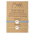 Dettaglio di braccialetti dell'amicizia intrecciati con ciondoli a zampa su carta - Stile Amicizia Zampa Blu Oro (ZJ12323)
