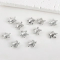 Macro detail of polished silver sea turtle beads for DIY jewelry making and bracelets - Sea Turtle / White Gold