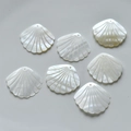 Macro view of natural white shell scallop charms with radiant texture and pre-drilled holes - Large Shell Style