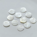 Flat lay of fan-shaped natural mother of pearl shell charms for DIY jewelry making - Small Shell Style