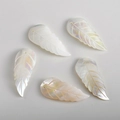 Fünf natürliche Muschelblatt-Anhänger mit irisierendem Glanz für DIY-Schmuck - Langes Blatt Rechts Stil