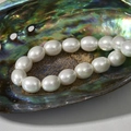 Iridescent white oval pearls displayed in an abalone shell for DIY jewelry making - 15# Vertical Hole Smooth Oval Shell Bead / Approx. 9.9*12.2mm