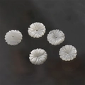 Five carved white mother of pearl shell flower beads for jewelry making with petal texture - 15# Small Daisy (15#) / 1 Piece/Pack (Diameter approx. 10mm) / Cream