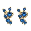Luxurious gold-tone stud earrings featuring shimmering dark blue cluster zircon stones - Gold Blue Zirconia
