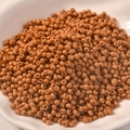 Matte karamelbruine glazen kralen voor het zelf maken van kettingen en armbanden - 3mm (10g Verpakking) / Kameel (30#)