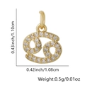 Detailweergave van Kreeft-sterrenbeeldhanger met zirkonia en exacte afmetingen - Alleen Hanger (Zonder Ketting) / Kreeft
