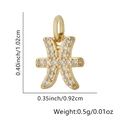 Vissen sterrenbeeld bedel goud met zirkonia voor DIY sieraden en armbanden - Alleen Hanger (Zonder Ketting) / Vissen