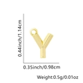 Ciondolo dorato lettera Y minimalista con dettagli di dimensioni e di peso - Solo ciondolo / Oro 18K-Y