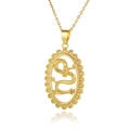 Detalle de collar con colgante de dragón dorado e incrustaciones de cristales brillantes - Estilo de Placa de Dragón Ovalada (D946-4)