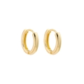 Polished golden hoop earrings with hinged closure and minimalist mirrored finish - Hoop Style (A14-2-1-5) / Gold