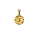 Pendentif rond en acier inoxydable doré 18K avec croissant de lune et bordure texturée - Lune Ronde (XTS11) / Or