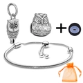 Silver owl DIY jewelry set with owl charms, snake chain bracelet and orange gift bag - Owl Theme Style (027)
