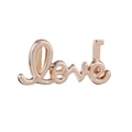 Rose gold stainless steel 10mm Love script slider charm for DIY keeper bracelet - Love Script Shape (06)