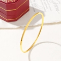 Minimalist 18K gold-plated stainless steel slim round bangle with a polished finish - 55 / Gold