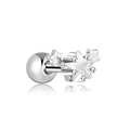 Surgical steel star stud earring with a central clear zircon and screw back closure - Star Ear Cartilage Stud (G047_6_10) / Silver
