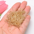Pile of 14k gold-plated ball headpins for DIY jewelry making and handmade beading crafts - Ball Head Pin (P28#) / 10000 Pieces/Pack (20mm) / Gold