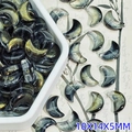 Dark translucent crescent moon beads with gold glitter for DIY jewelry making - Moon Style (L618#) / 10x14x5mm / Ink Gold