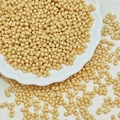 Macro shot of 3x6mm beige peanut glass beads with double-hole structure in a white dish - Beige