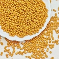 Macro shot of mustard yellow dumbbell-shaped double-hole beads on a white decorative tray - Dark Yellow