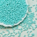 Macro shot of turquoise twin seed beads in a white ceramic tray for DIY jewelry making - Cyan Blue (M1021)