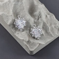 Makroaufnahme von Herz-Zirkonia-Anhängern mit funkelndem Diamant-Halo-Rahmen - Silberrahmen Weißer Zirkonia (M108501)