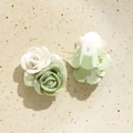 Vue détaillée des clous d'oreilles roses en céramique nacrée avec pétales blancs et verts - Vert clair