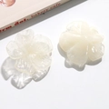 Détails macro d'accessoires de cheveux en résine de fleurs vintage au style français - Blanc Transparent