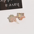 Macro detail of iridescent star-shaped beads with a matte finish for DIY jewelry - 1 Piece/Pack / Orange Brown