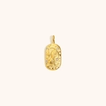 18K gold plated stainless steel oval Leo zodiac pendant with relief design and zircons - Leo / Gold