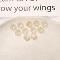 Detailed macro view of 11 translucent resin rose charms with gold foil for DIY nail art - 8mm / Gold