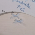Detail of light blue organza bow charms for DIY nail art and fashion accessories - Light Blue