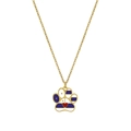 Goldene Hundepfote Halskette mit blau-weißen Streifen und rotem Herz-Stern-Design - Blau Weiß Herz