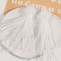 Dettaglio di eleganti accessori in piume bianche con pompon soffici su un piatto di ceramica - Bianco
