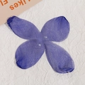 Dettaglio di fiori in rete blu scuro per la creazione di gioielli fai da te e capelli - Blu